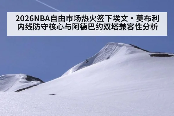 2026NBA自由市场热火签下埃文·莫布利内线防守核心与阿德巴约双塔兼容性分析